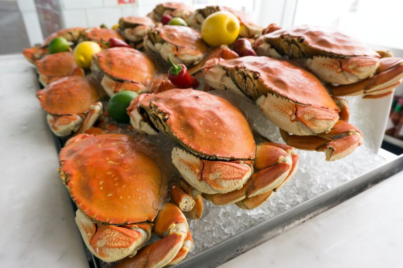 Dungeness crabs lined up at a seafood restaurant in San Francisco
