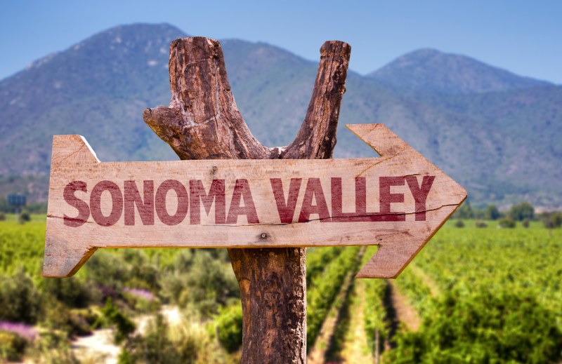 Sonoma Valley written on wooden sign outside of vineyard