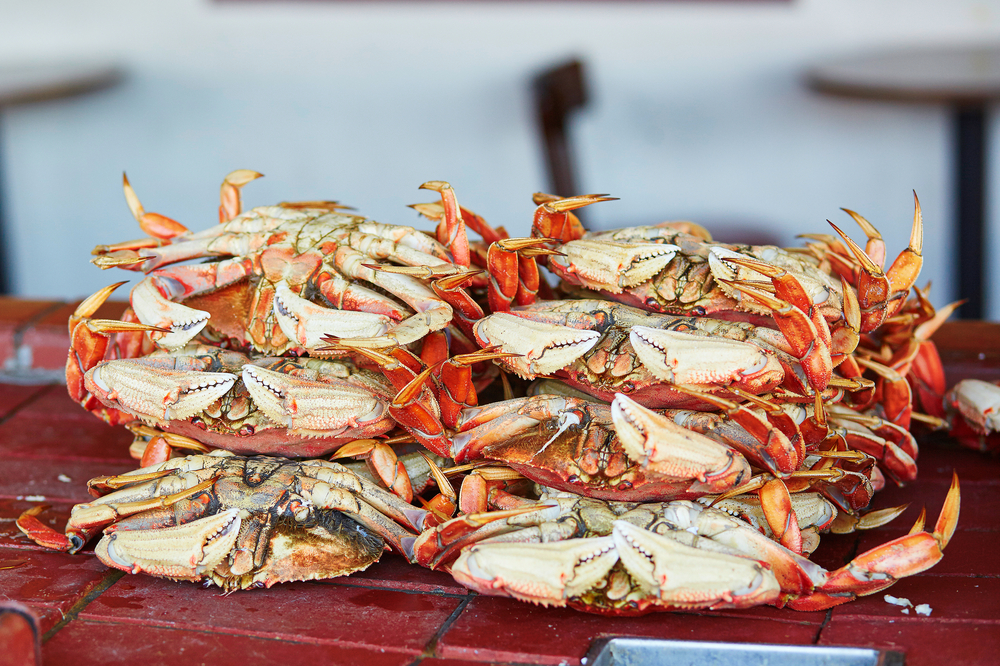 Dungeness Crab is one types of food San Francisco is known for